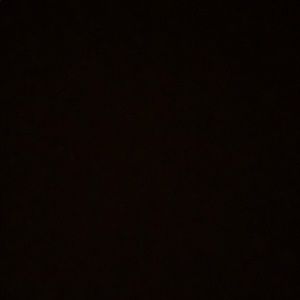 Meet your Posher, Ava